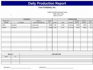 Download-Daily-Production-Report