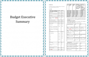 Executive-Summary-Annual-Budget-Templates