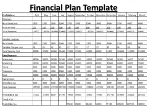 business-plan-template-PDF